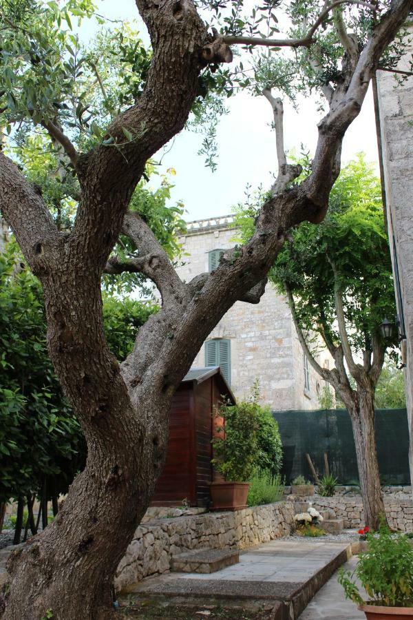 Domus Relax Bed & Breakfast Selva Di Fasano Dış mekan fotoğraf